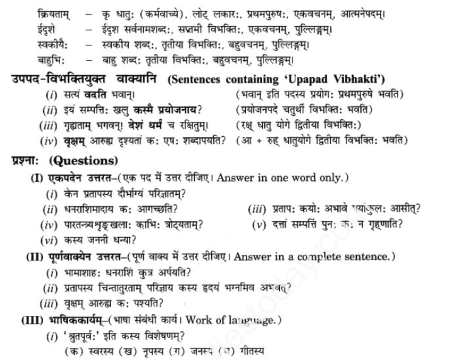 ncert-solutions-class-9-sanskrit-chapter-9-vijaytam-svadesh