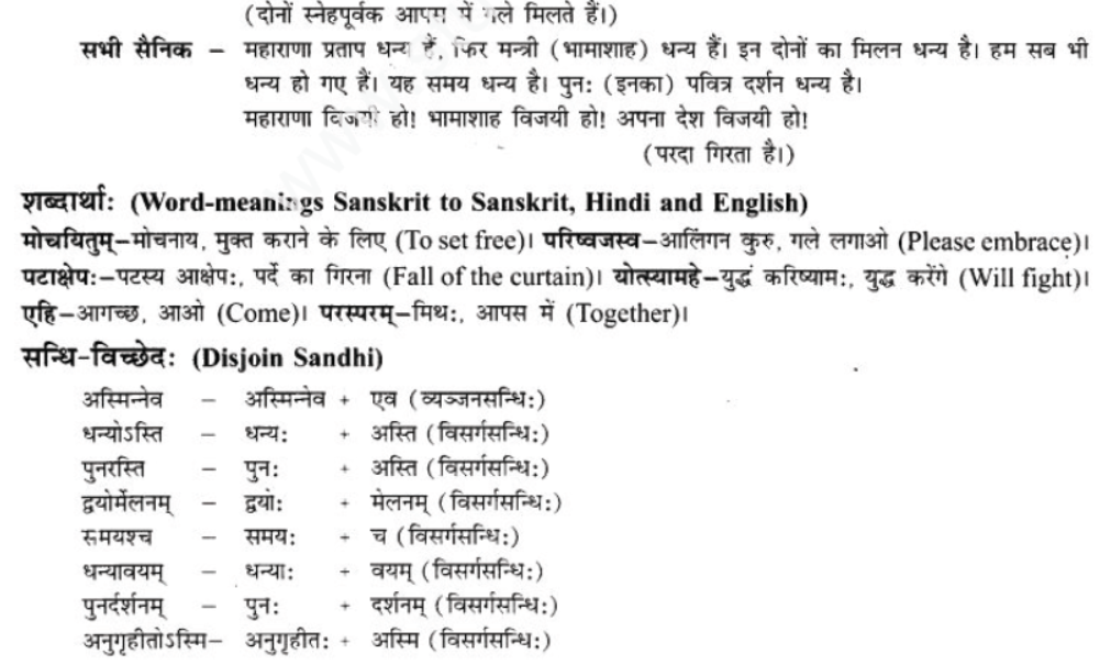 ncert-solutions-class-9-sanskrit-chapter-9-vijaytam-svadesh