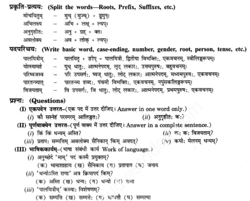 ncert-solutions-class-9-sanskrit-chapter-9-vijaytam-svadesh