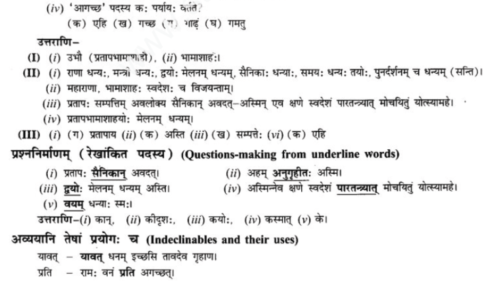 ncert-solutions-class-9-sanskrit-chapter-9-vijaytam-svadesh