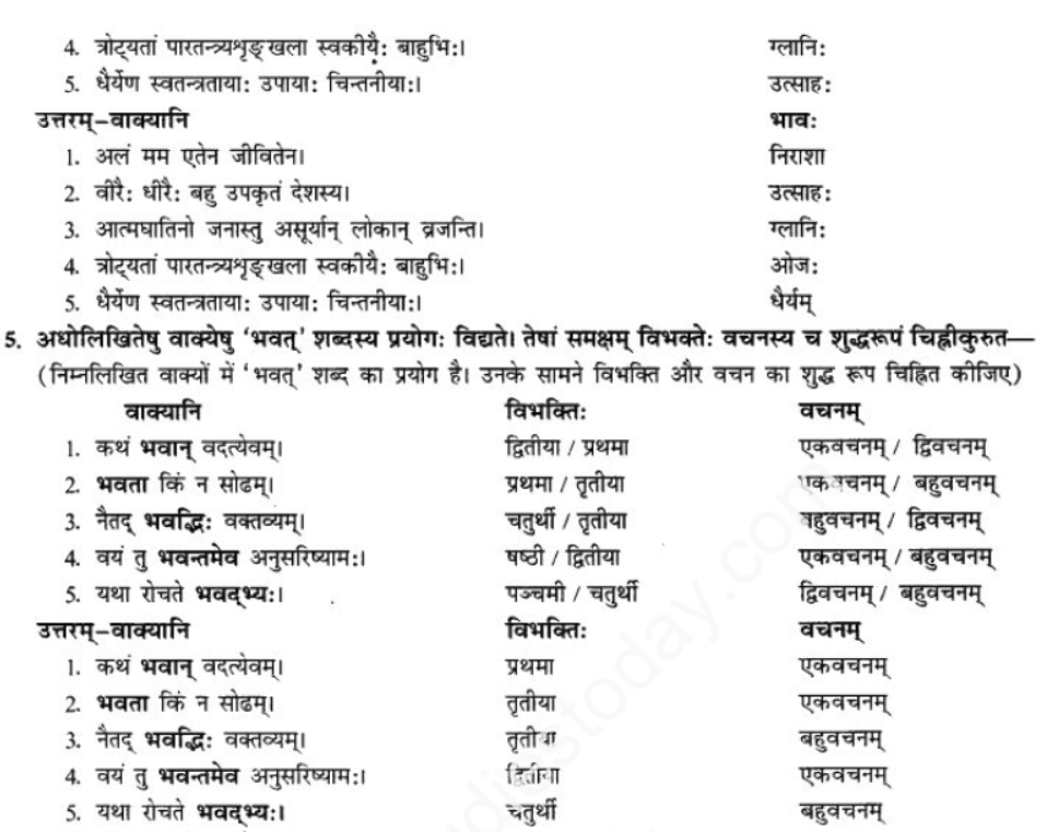 ncert-solutions-class-9-sanskrit-chapter-9-vijaytam-svadesh