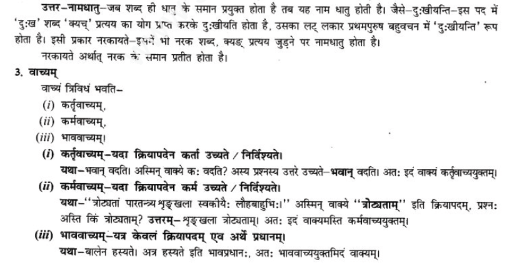 ncert-solutions-class-9-sanskrit-chapter-9-vijaytam-svadesh