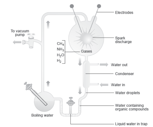 CBSE-Class-12-Biology-Evolution-Worksheet-Set-A.png-1.png