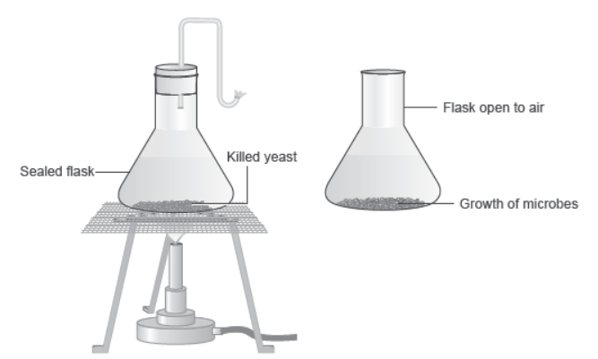 CBSE-Class-12-Biology-Evolution-Worksheet-Set-B-2.png