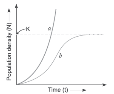 CBSE-Class-12-Biology-Organisms-and-Populations-Assignment-Set-B-1.png
