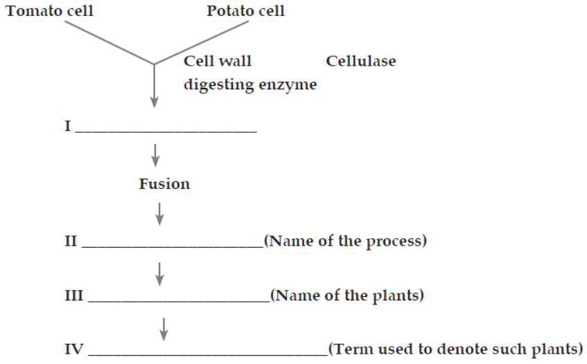 CBSE-Class-12-Biology-Strategies-for-Enhancement-In-Food-Production-Worksheet-Set-A.png