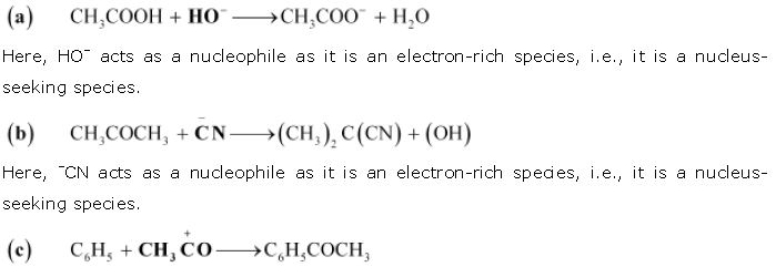 ""NCERT-Solutions-Class-11-Chemistry-Chapter-12-Organic-Chemistry-21