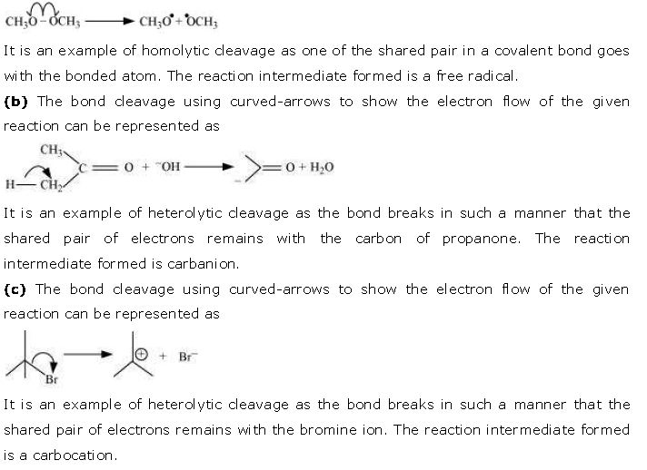 ""NCERT-Solutions-Class-11-Chemistry-Chapter-12-Organic-Chemistry-27