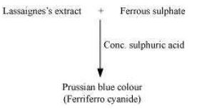 ""NCERT-Solutions-Class-11-Chemistry-Chapter-12-Organic-Chemistry-48