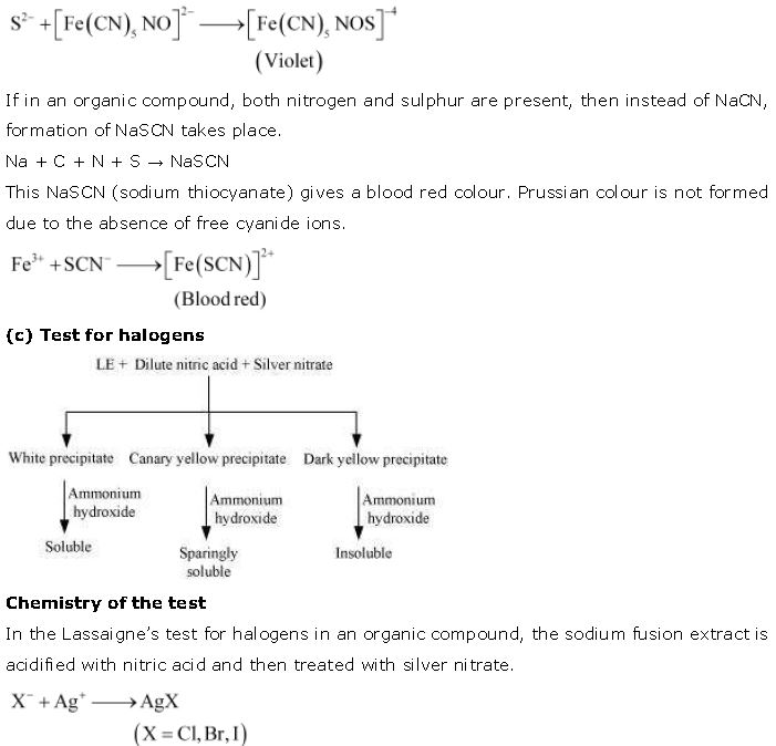 ""NCERT-Solutions-Class-11-Chemistry-Chapter-12-Organic-Chemistry-50