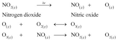 ""NCERT-Solutions-Class-11-Chemistry-Chapter-14-Environmental-Chemistry-3