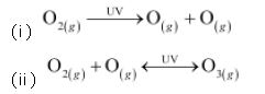 ""NCERT-Solutions-Class-11-Chemistry-Chapter-14-Environmental-Chemistry-5