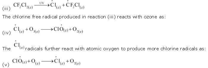 ""NCERT-Solutions-Class-11-Chemistry-Chapter-14-Environmental-Chemistry-6