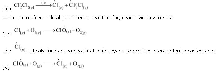 ""NCERT-Solutions-Class-11-Chemistry-Chapter-14-Environmental-Chemistry-6