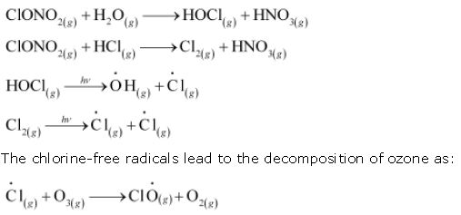 ""NCERT-Solutions-Class-11-Chemistry-Chapter-14-Environmental-Chemistry-7