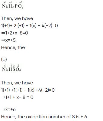 ""NCERT-Solutions-Class-11-Chemistry-Chapter-8-Redox-Reactions-19