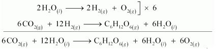 ""NCERT-Solutions-Class-11-Chemistry-Chapter-8-Redox-Reactions-31