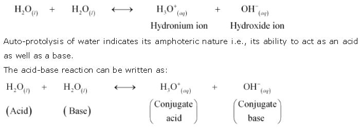 ""NCERT-Solutions-Class-11-Chemistry-Chapter-9-Hydrogen-11