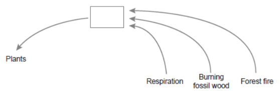 NCERT-Solutions-Class-12-Biology-Chapter-14-Ecosystem-2.png
