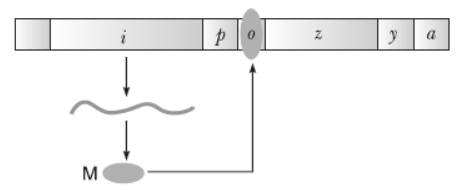 NCERT-Solutions-Class-12-Biology-Chapter-6-Molecular-Basis-of-Inheritance-1.png