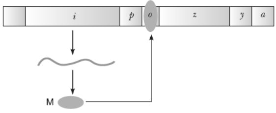 NCERT-Solutions-Class-12-Biology-Chapter-6-Molecular-Basis-of-Inheritance-20.png