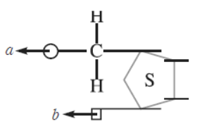 NCERT-Solutions-Class-12-Biology-Chapter-6-Molecular-Basis-of-Inheritance-7.png