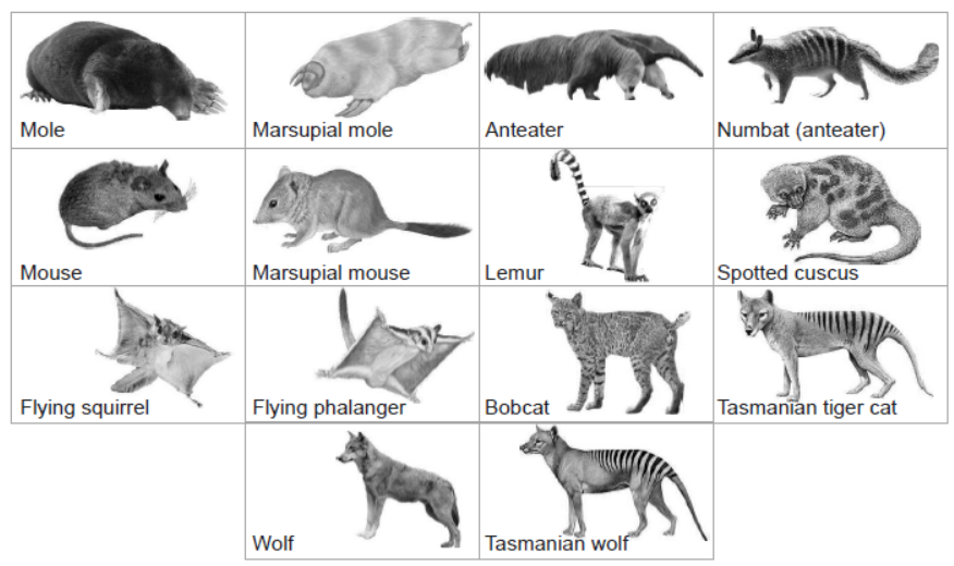 NCERT-Solutions-Class-12-Biology-Chapter-7-Evolution-3.png