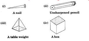 ""NCERT-Solutions-Class-8-Mathematics-Chapter-10-Visualising-Solid-Shapes-10