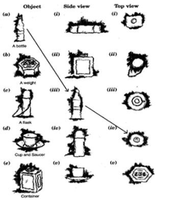 ""NCERT-Solutions-Class-8-Mathematics-Chapter-10-Visualising-Solid-Shapes