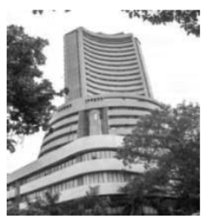 cbse-class-12-business-studies-financial-markets-worksheet-set-c