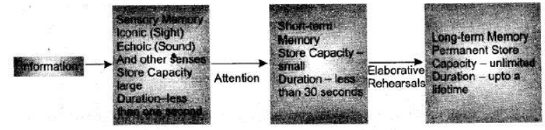 ncert-solutions-class-11-psychology-chapter-7-human-memory