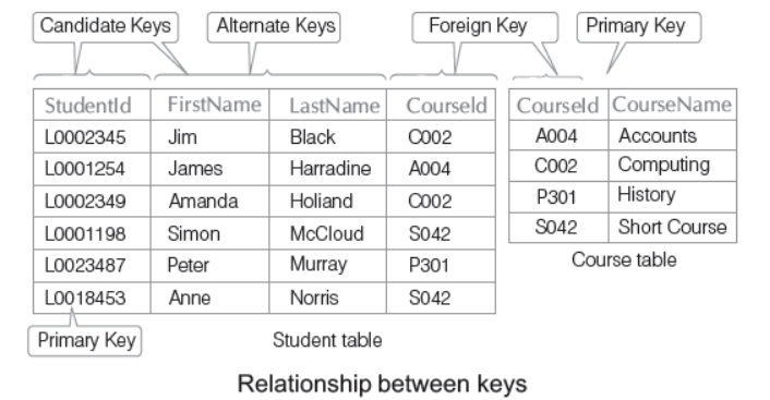 CBSE-Class-10-Computer-Science-Chapter-3-Database-Management-System-Notes-2.png