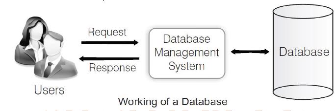 ""CBSE-Class-10-Computer-Science-Database-Management-System-Worksheet-1