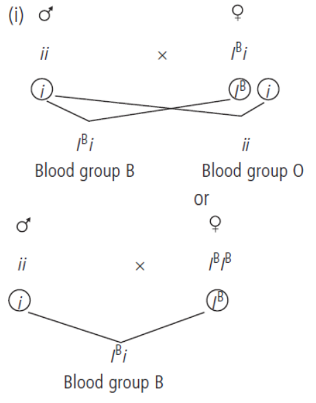 CBSE-Class-10-Science-Heredity-And-Evolution-4.png