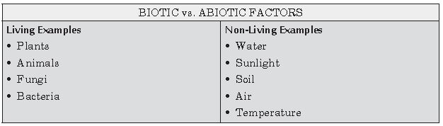 ""CBSE-Class-10-Science-Our-Environment-Notes-13