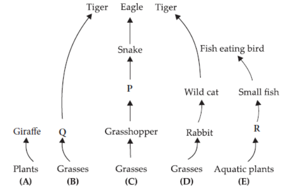 CBSE-Class-10-Science-Our-Environment-Sure-Shot-Questions-A-1.png