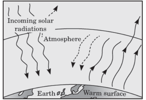 CBSE-Class-10-Science-Our-Environment-Sure-Shot-Questions-B-2.png