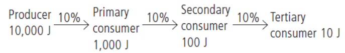 CBSE-Class-10-Science-Our-Environment-Sure-Shot-Questions-B-3.png