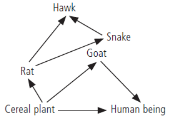 CBSE-Class-10-Science-Our-Environment-Sure-Shot-Questions-B-4.png