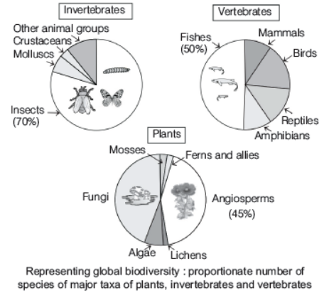 CBSE-Class-12-Biology-Biodiversity-And-Conservation-Worksheet-Set-A-1.png