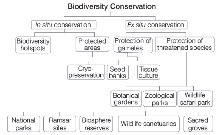 CBSE-Class-12-Biology-Biodiversity-And-Conservation-Worksheet-Set-A-3.png