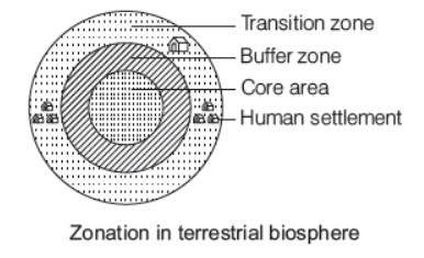 CBSE-Class-12-Biology-Biodiversity-And-Conservation-Worksheet-Set-A-4.png