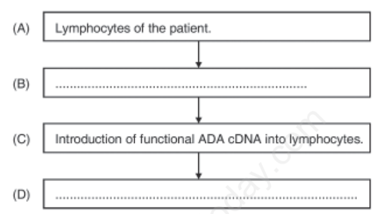 CBSE-Class-12-Biology-Biotechnology-and-its-Applications-Assignment-Set-A-1.png