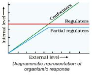 ""CBSE-Class-12-Biology-Organisms-and-Populations-Concept-Map-1