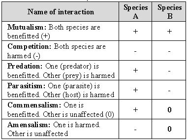 ""CBSE-Class-12-Biology-Organisms-and-Populations-Concept-Map-5