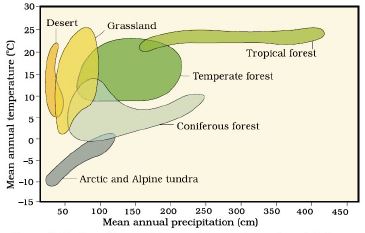 ""CBSE-Class-12-Biology-Organisms-and-Populations-Concept-Map