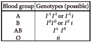 CBSE-Class-12-Biology-Principles-of-Inheritance-And-Variation-Worksheet-Set-B