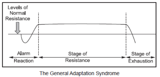 CBSE-Class-12-Psychology-Meeting-Life-Challenges-Assignment-1.png