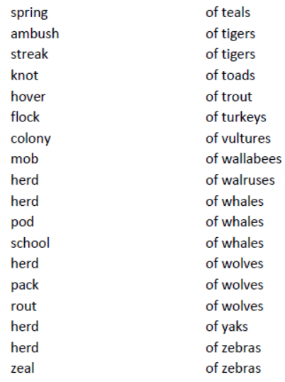 CBSE-Class-8-English-Noun-Forms-Worksheet-13.png