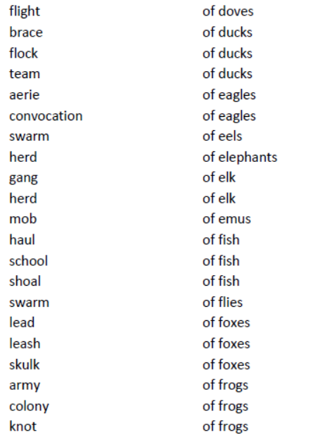 CBSE-Class-8-English-Noun-Forms-Worksheet-8.png